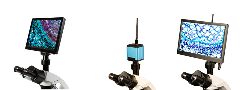 Digital microscope cameras