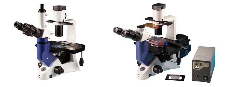 Inverted microscopes