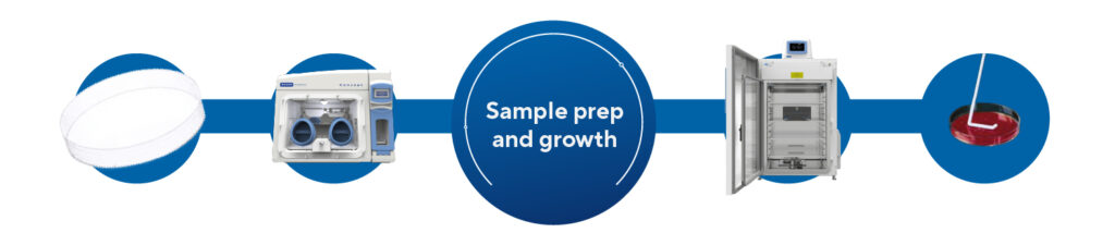 Sample preparation and sample growth